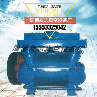 淄博友志2BEC系列水環真空泵 廠家直銷與高端定制的工藝標桿